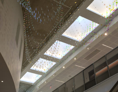 2,000 dichroic glass petals suspended in the atrium