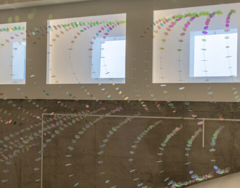 2,000 dichroic glass petals suspended in the atrium