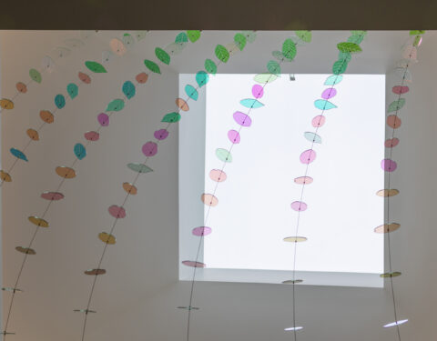 2,000 dichroic glass petals and leaves suspended in the atrium