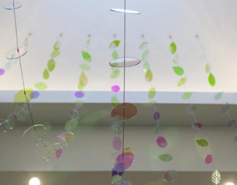 Moment of Tranquility